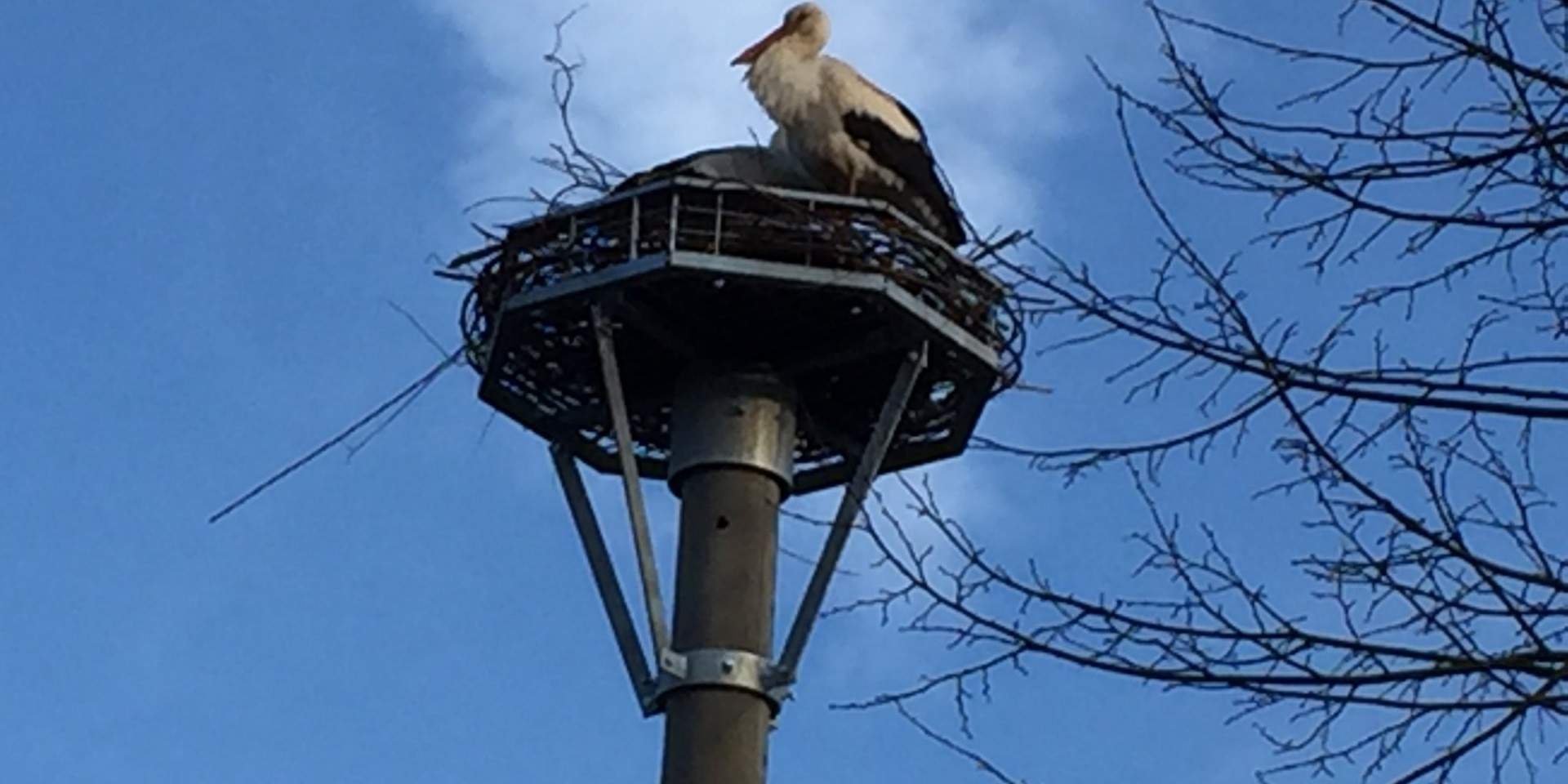 Storchennest Nudow